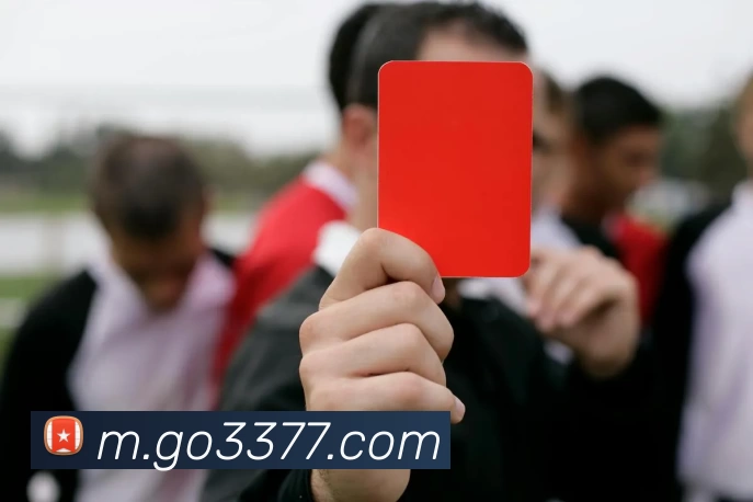 3377体育官网服务体系